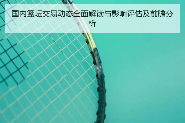 国内篮坛交易动态全面解读与影响评估及前瞻分析